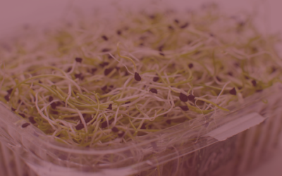 Broccoli Sprouts for Hormone Balance: Sulforaphane Benefits for Women